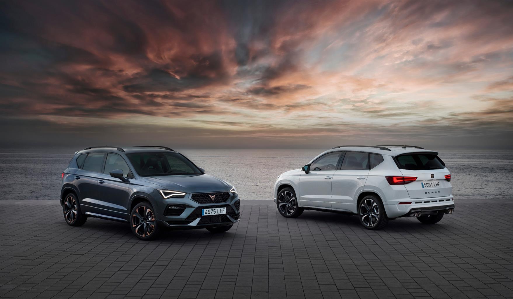 Nuova Cupra Ateca 2020: immagini ufficiali