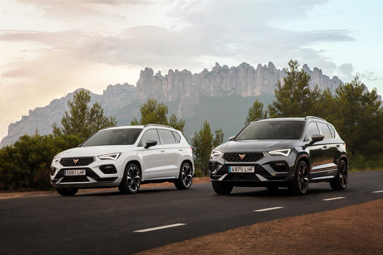 Nuova Cupra Ateca 2020: immagini ufficiali