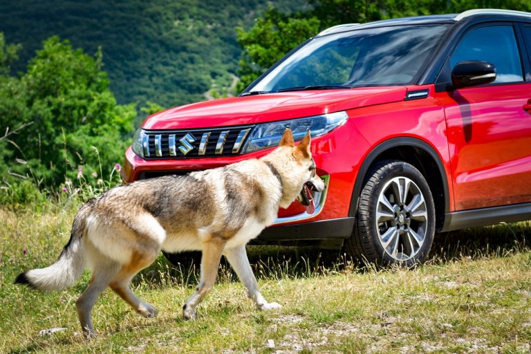 Suzuki Vitara 1.4 Boosterjet Hybrid AllGrip: la prova su strada