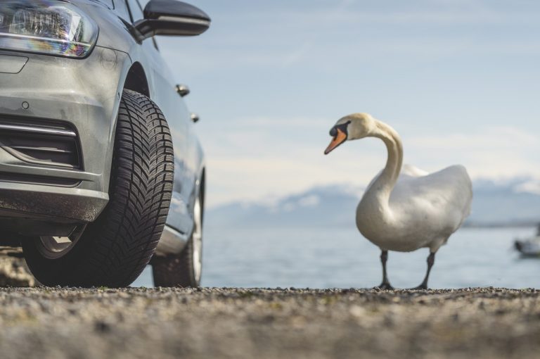 Nokian Seasonproof, nuova gamma 4 stagioni: immagini ufficiali