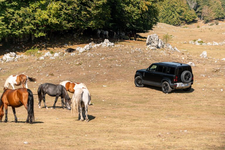 Land Rover Defender 2.0 SD4 S: la prova su strada
