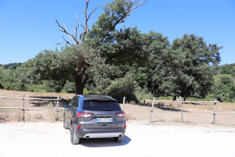 Ford Kuga 2.0 EcoBlue Hybrid Titanium: la prova su strada