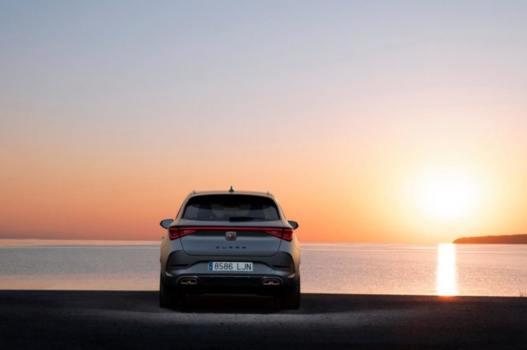 Cupra Leon 2020: nuove immagini ufficiali