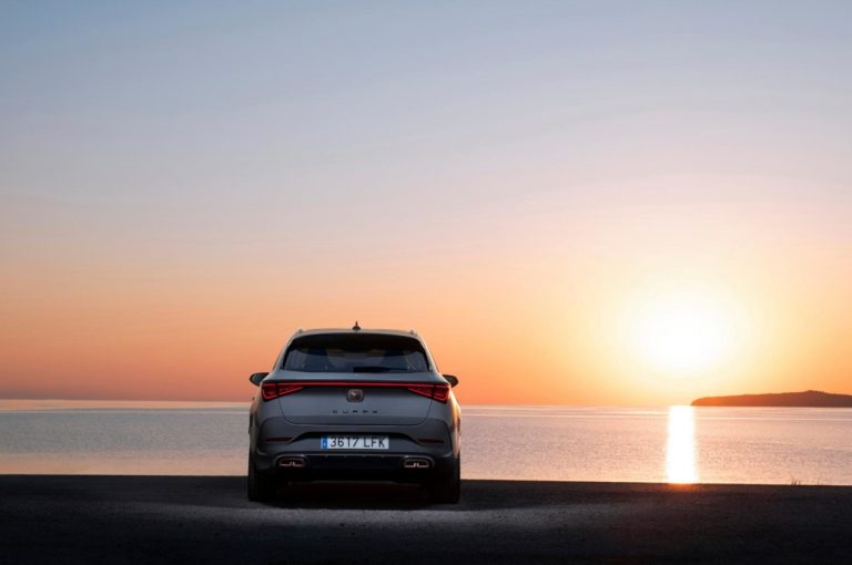 Cupra Leon 2020: nuove immagini ufficiali