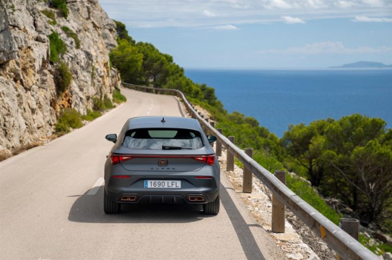 Cupra Leon 2020: nuove immagini ufficiali