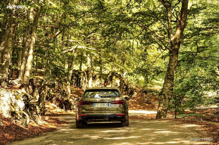 Audi A6 Allroad 55 TDI e Mercedes GLE Coupe 53 AMG: la prova su strada