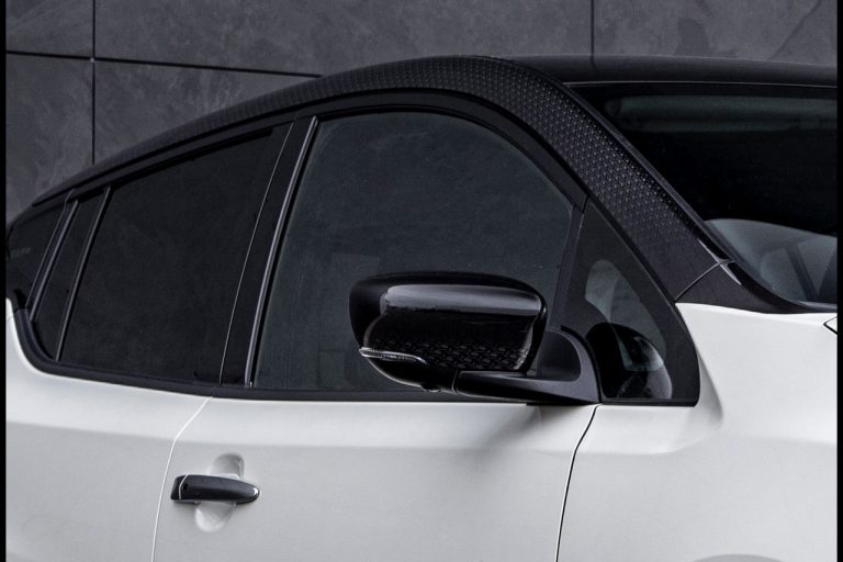 Nissan Leaf10 2021: immagini ufficiali