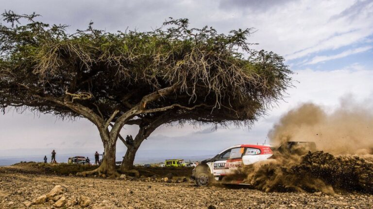 WRC Safari Rally: guarda la gallery