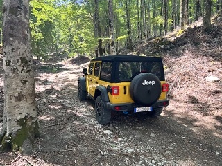 Jeep Wrangler 4Xe VS Land Rover Defender P400e: le immagini