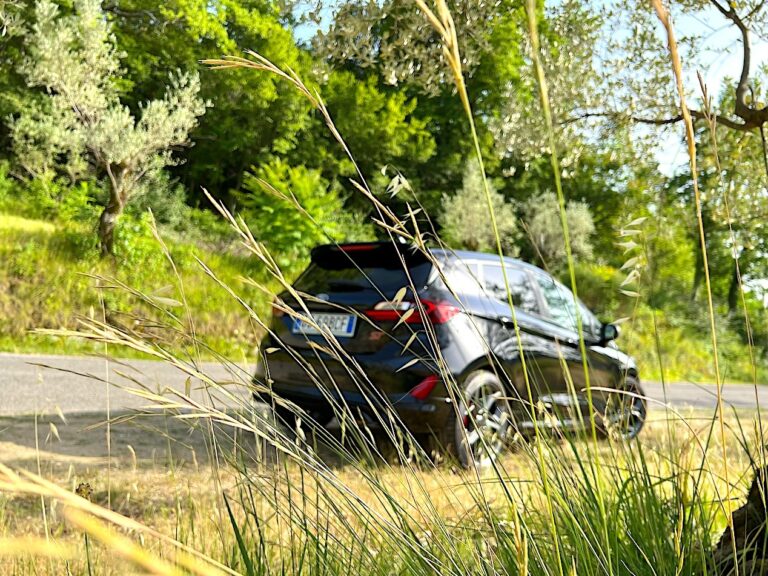 Ford Fiesta ST 2022: le immagini