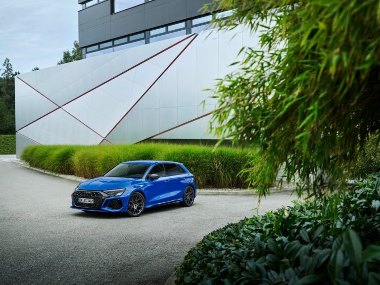 Audi RS3 Performance Edition: immagini