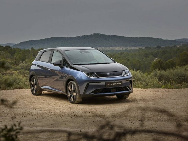 BYD Dolphin e Seal: immagini ufficiali